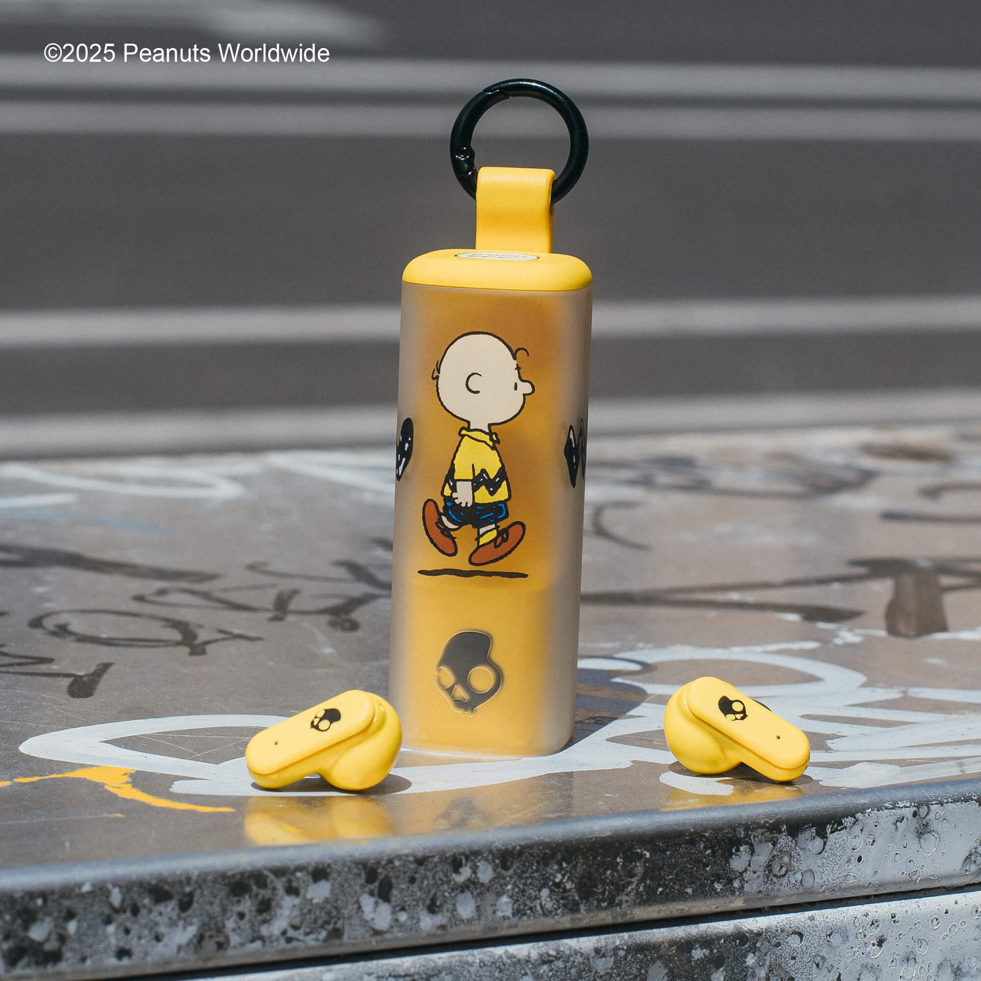 DimeEvo_Peanuts_CharlieBrown_8